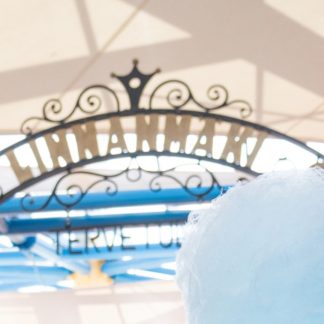 Retki Linnanmäelle 5.6.25 (91102076)