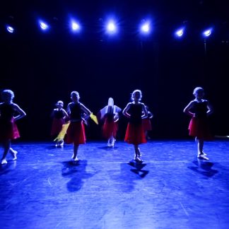 Tanssitaiteen talvinäytös 29.11. klo 13